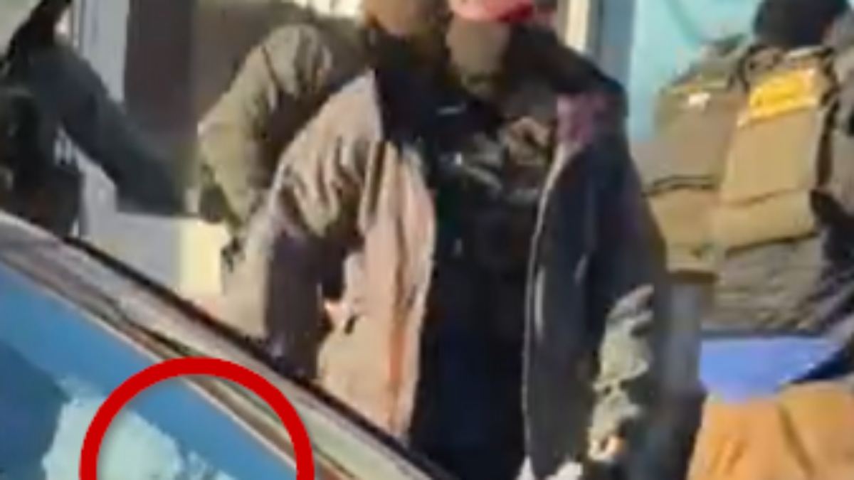 T-dlicher-Einsatz-in-Minneapolis-War-37-J-hriger-schon-entwaffnet-als-ICE-Beamte-schossen-